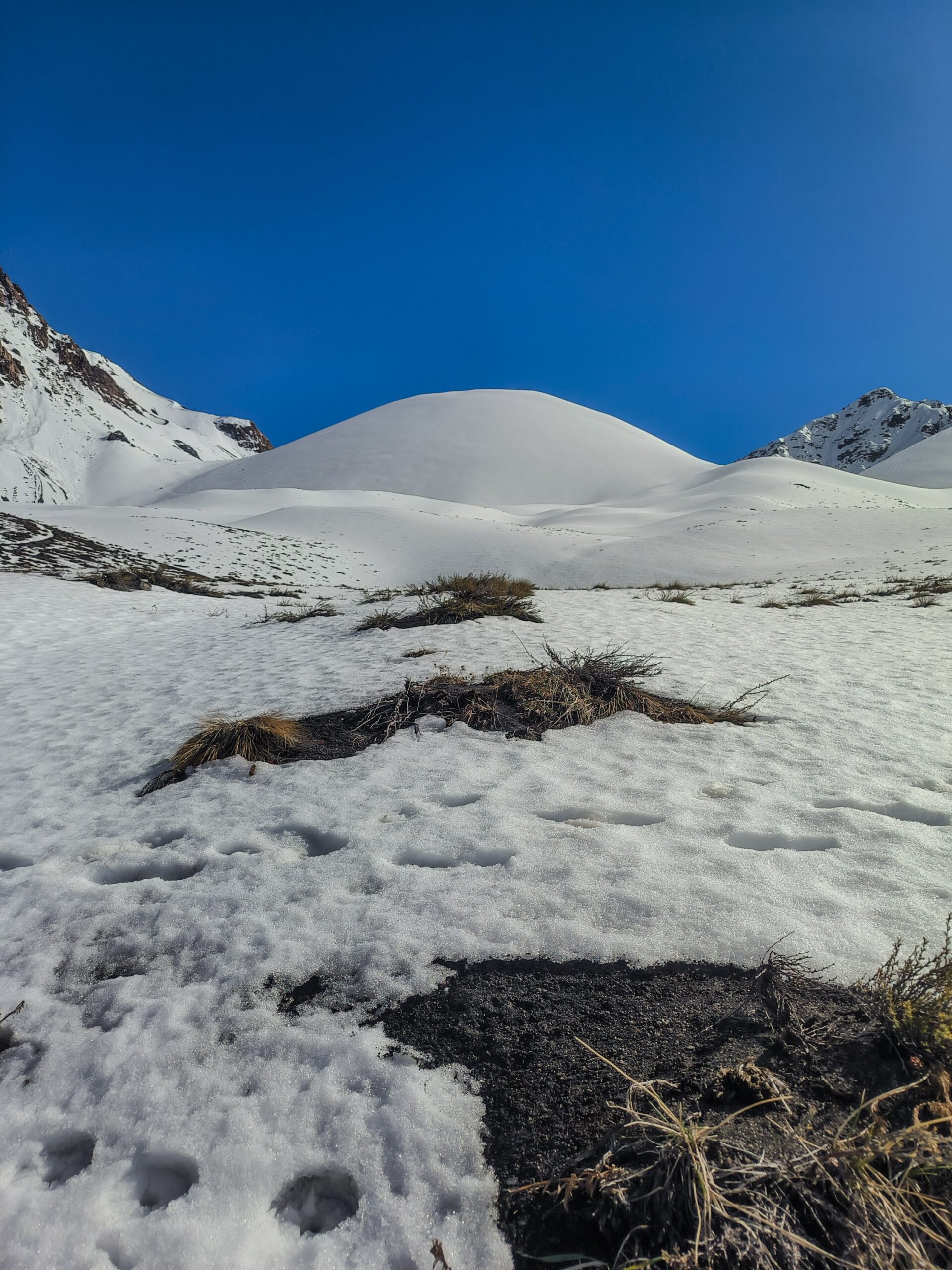ASCENSO VOLCAN HORNITOS FULL DAY - Imagen 3