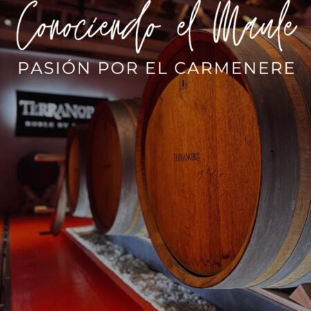 CONOCIENDO EL MAULE “PASIÓN POR EL CARMENERE”