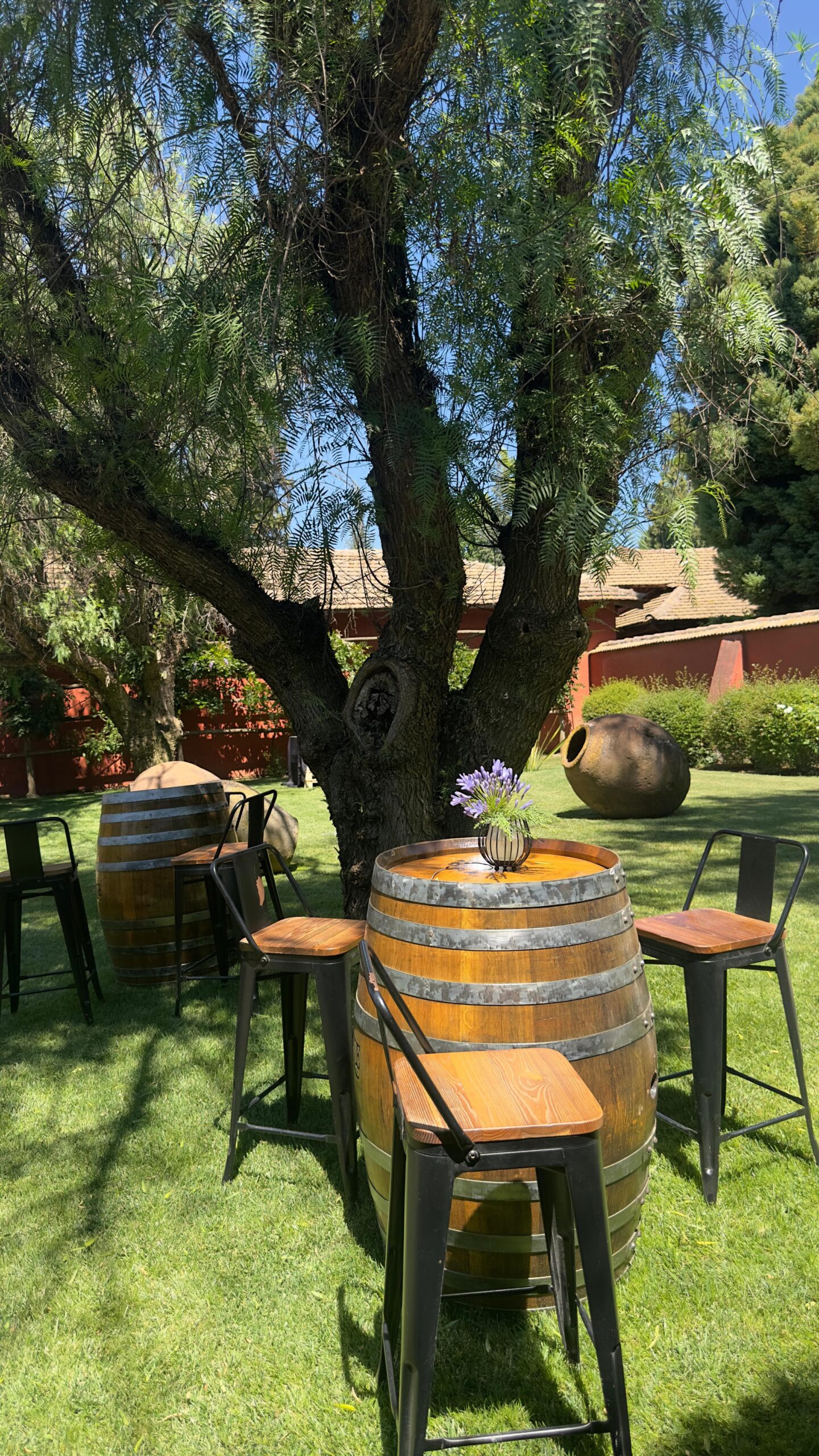 CONOCIENDO EL MAULE “PASIÓN POR EL CARMENERE” - Imagen 5